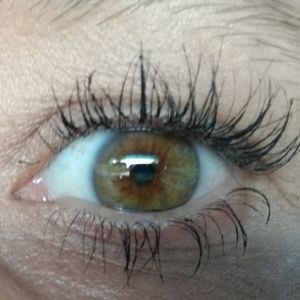 Meet your Posher, Autumn